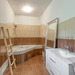 Bajsova Domacija 아파트 포드체트르테크