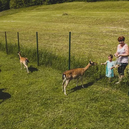 Διαμέρισμα Bajsova Domacija Podčetrtek