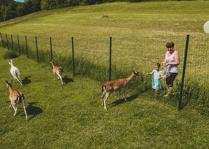 アパート Bajsova Domacija ポドチェトルテク